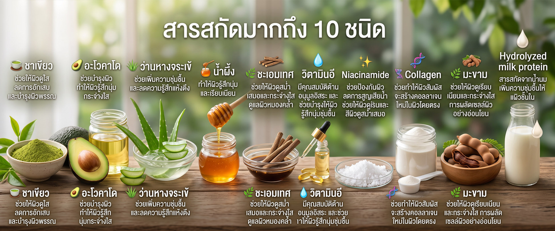 รูปภาพตัวอย่าง
